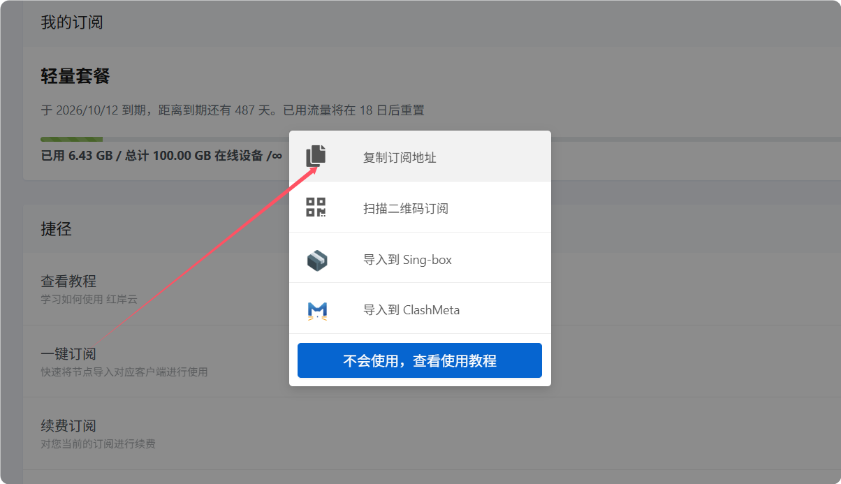 Clash Nyanpasu 使用教程『从入门到精通』